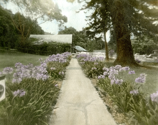A Path Well-travelled - Hand Colored Silver Gelatin Photography by Gwen Arkin