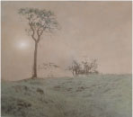 After an Age of Leaves and Feathers - Hand Colored Silver Gelatin Photography by Gwen Arkin