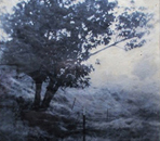 Mahoe - Photogravure Photography by Gwen Arkin